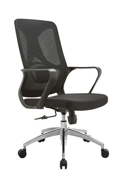 Fatio Mid-Back Mesh Chair | Adjustable Lumbar Support & Chrome Base Office Chair