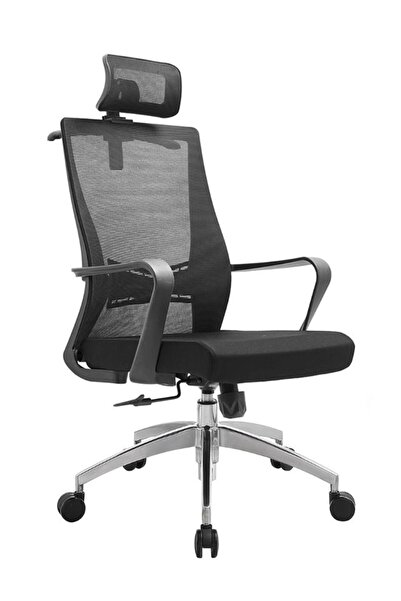 Fatio Ergonomic Office Chair | Moulded Sponge & Height Adjustable Headrest