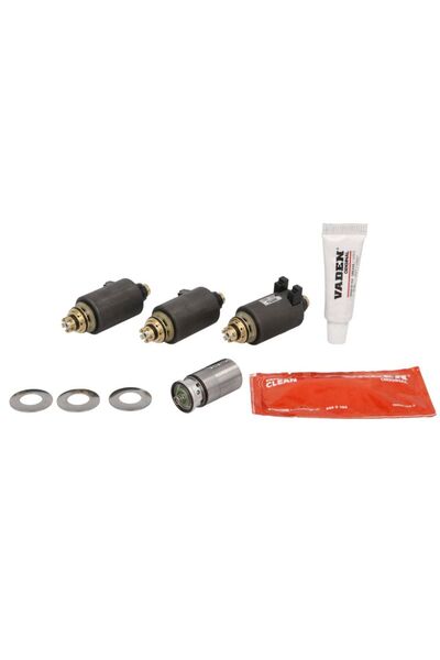 VADEN Kit de Reparare a Valvelor Egr (kitul Contine: Bobine) Scania