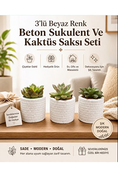 Hep İndirimli Hediyelik 3'lü Beyaz Renk Beton Sukulent Ve Kaktüs Saksı Seti (...