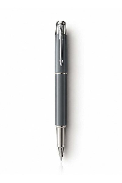 Parker IM Silver Grey Standard Fountain Pen, Silver Edges, Luxury Office Edition