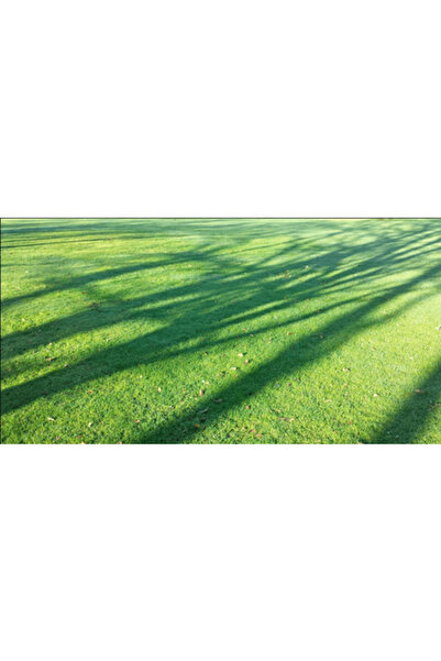Lawn Σπόρος της Σκιάς