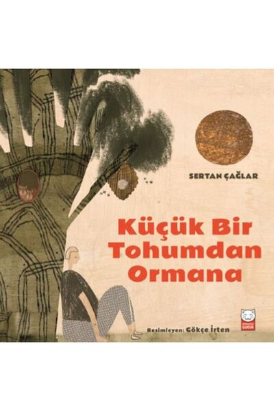 Kırmızı Kedi Çocuk من البذور الصغيرة إلى الغابة