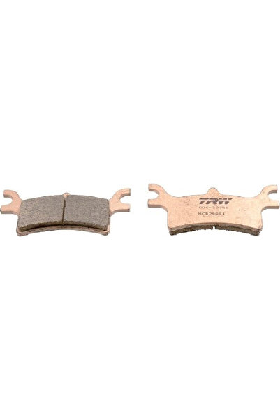 TRW PLACUTE FRANA SPATE POLARIS (2 furci) SINTERIZATE - LUCAS