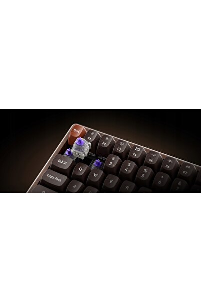 NO BRAND Keychron K2 HE Ediție Specială Integral din Lemn 2.4GHz, Tastatură M...