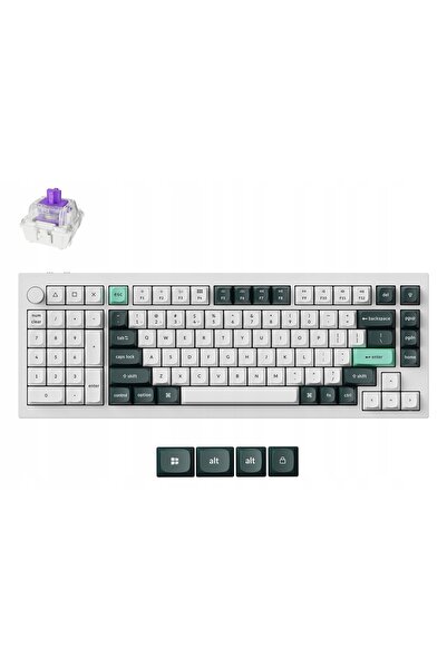 NO BRAND Tastatură Keychron Q12H P1