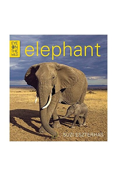Generic (Unbranded) Elefant