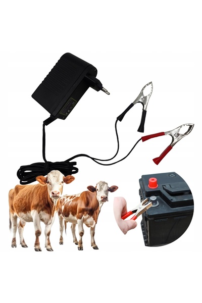 Biaksesuargüzellik Încărcător de baterii gel 12V 2000mA cu indicator LED