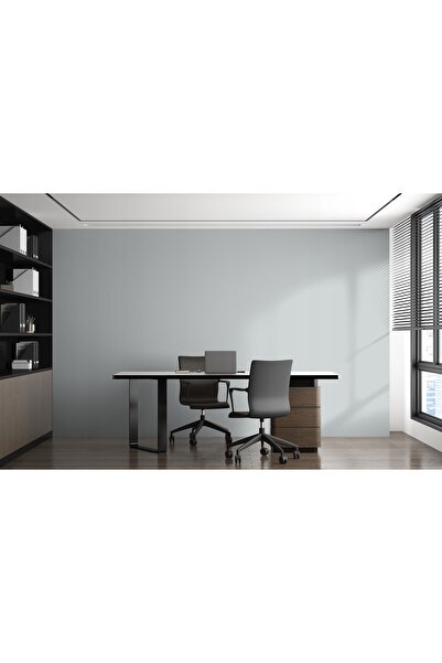 NO BRAND Vopsea latex mată pentru pereți 5L Gri Clasic Platină H0016 + Pensulă