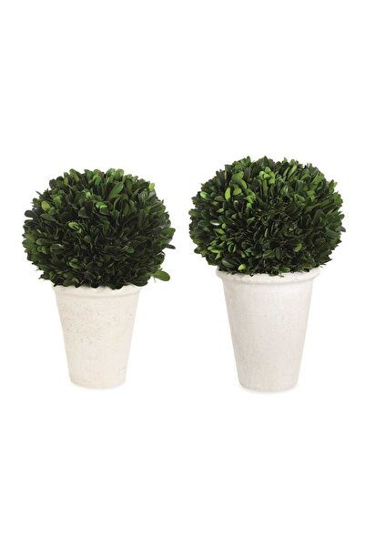 UTTERMOST Boxwood Domes, S/2