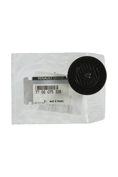 OE RENAULT Oil plug, Rocker shaft mounting hole plug