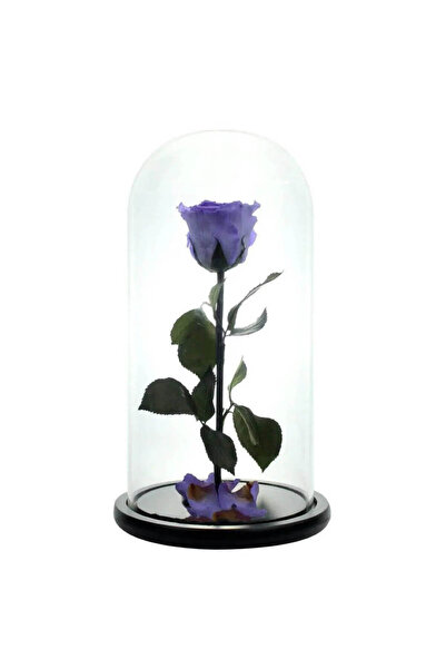 Trandafir Criogenat Trandafir violet înghețat 12 x 25 cm