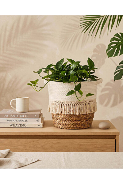 REDTAG Beige Woven Grass & Paper Rope Planter with Waterproof Liner - L