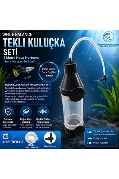 White Balance Tekli Akvaryum Kuluçka Makinesi Seti – Ciklet ve Ağızda Kuluçka...
