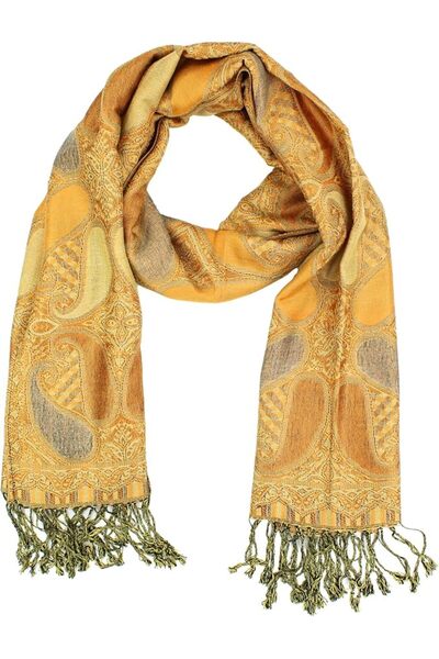 GENERAL PASKMLNA womens Paisley Pashmina Pashmina Shawl
