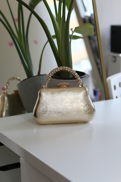Moom Bag Women's Gold Case Stone Handle Chain Evening Dress Bag