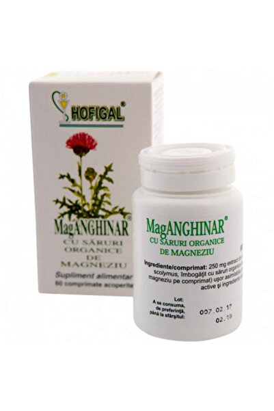 Hofigal Mag Artichoke Hofigal, 60 tablets
