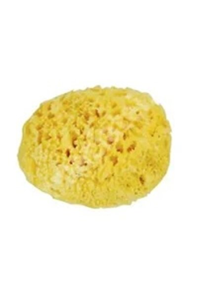 Dr.Brown's Burete de mare Honeycomb Spugnificio Bellini nr.12, 1 bucata, Dr. ...