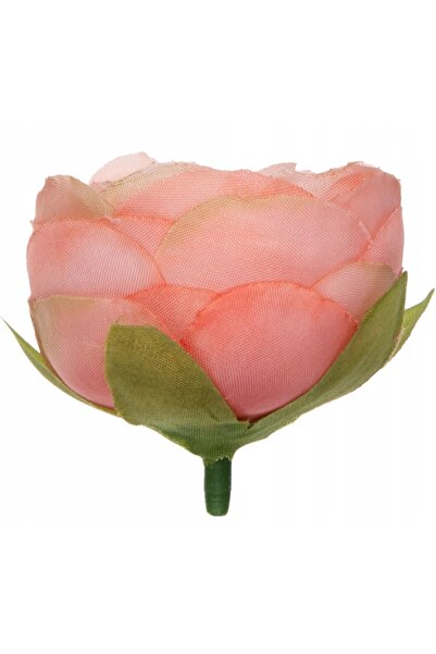 NO BRAND 48X JASKIER UMPLUTURĂ DE SOMON RANUNCULUS CAP TARE
