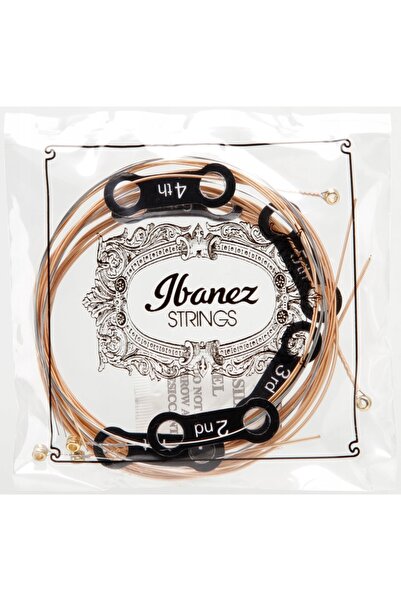 NO BRAND Corzi chitară acustică 010-047 IBANEZ IACSP61C