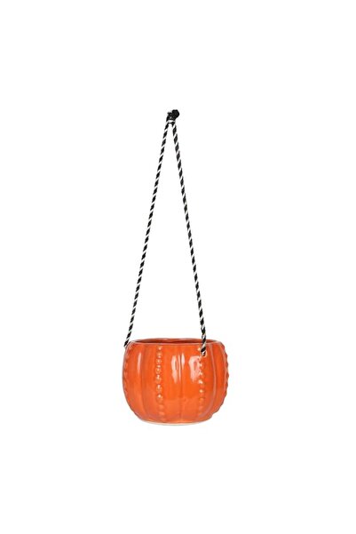 Generic Cartup Ceramic Hanging Planter Pot – Stylish Indoor Decorative Plant ...