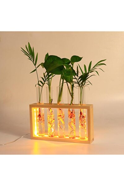 Generic Plant Propagation Station with LED Lights, Plant Terrarium with Woode...
