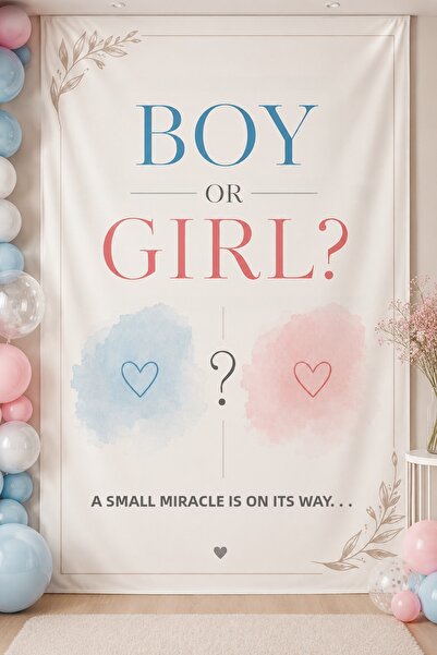 Vendini Gender Reveal Party Banner, Wall Covering