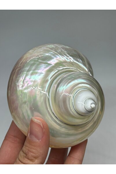 gemsartdeco Turbo Burges Kabuk