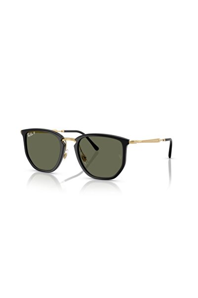 Ray-Ban Güneş Gözlüğü RB4451 50 630658