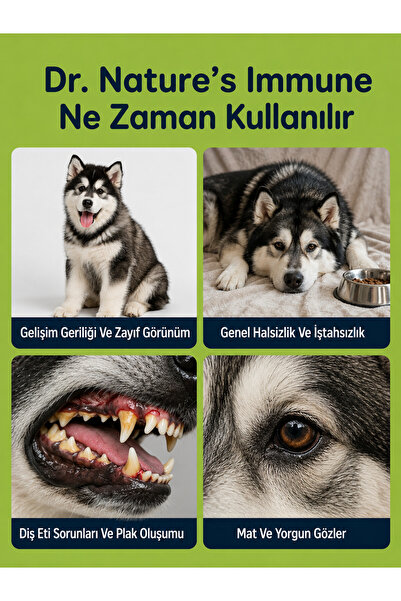 Dr. Nature's Köpek Multivitamin Immune 75 Tablet – Günlük Bağışıklık ve Vitamin Desteği