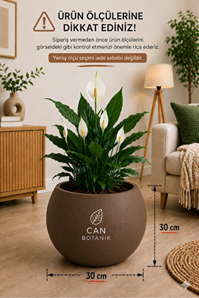 CANBOTANİK Yuvarlak Saksı Salon Saksı 30 cm Boş saksı plastik çiçek saksısı s...