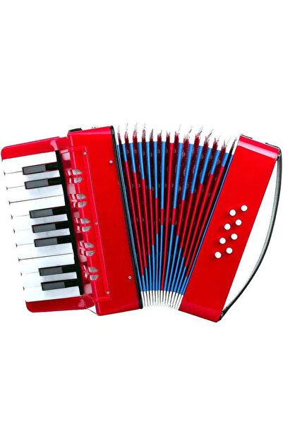 OEM Children's Accordion with Keys, iStan, 23 x 38 cm