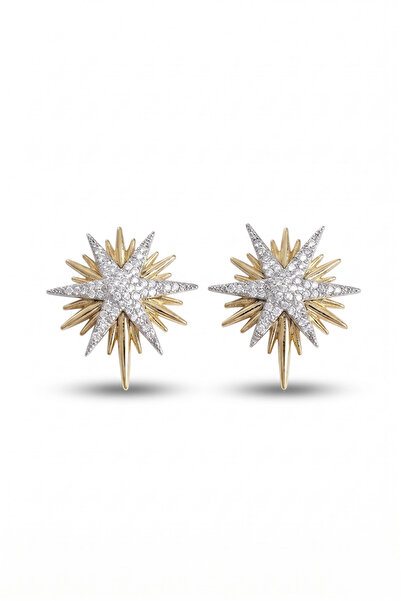 Clariss Zircon Stone Brass Pole Star Gold and Silver Color Women's Earrings
