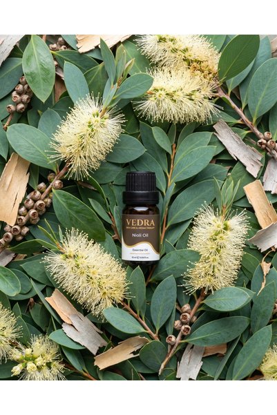 VEDRA AROMATHERAPY & SKINCARE Nioli Oil (Niaouli) 100% Pure Essential Oil — Skin & Respiratory Care Oil / Niaouli Essential Oil 10 ml