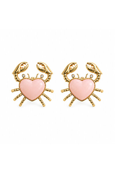 Venus Design Steel Crab Earrings