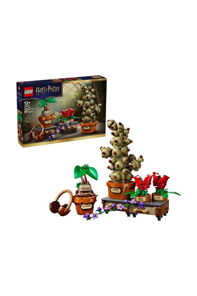 LEGO Plante pentru cursul de Herbolă la Hogwarts