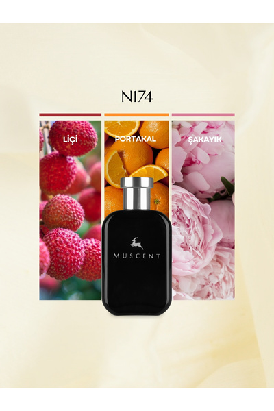 MUSCENT N174 F Narcotique 50 ml.