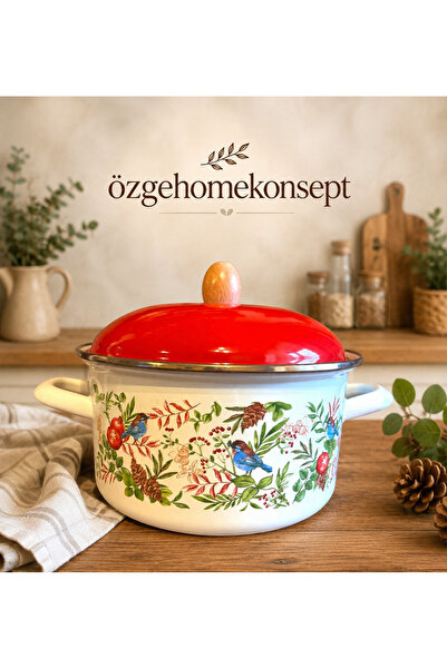 ALEV EMAYE 3-Liter Red Lid Floral Print Enamel Pot 20cm – Durable & Stylish K...