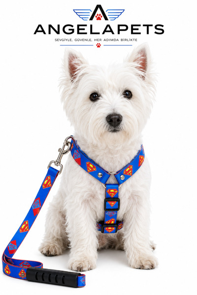 Angelapets Dog Collar (Chest Collar) Walking Strap Set