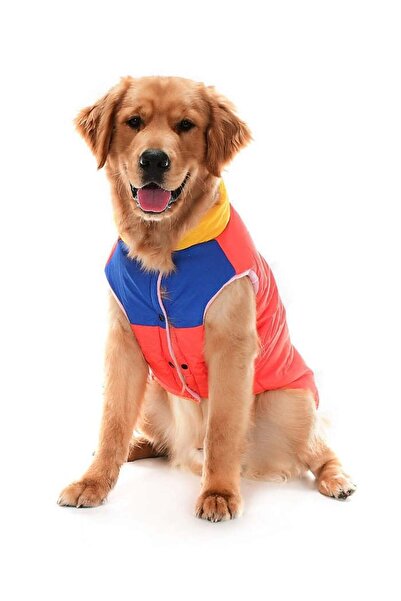 Petza Orta ve Büyük Irk Köpek Mont - Murpota Turuncu