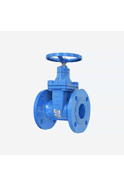 WATTS Flanged Gate Valve |