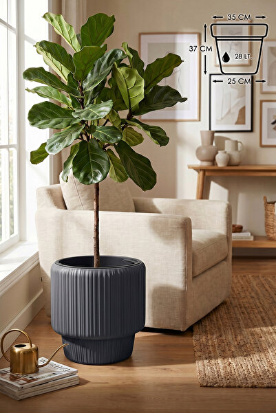 ToXA Lupus Kısa Model 28 Litre (37 cm) İç Hazneli Dekoratif Modern Plastik Sa...
