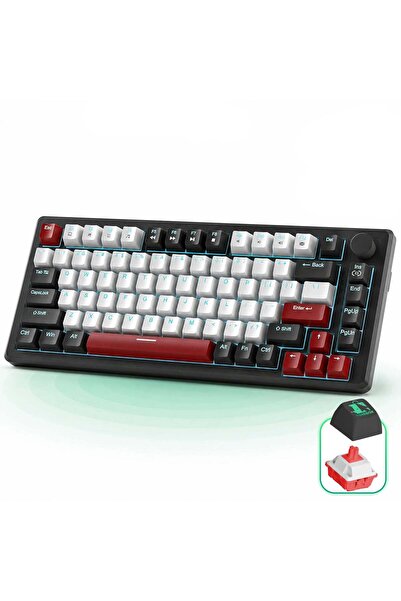 Timebox Tastatură mecanică de gaming, iluminare din spate RGB 75%, comutator ...