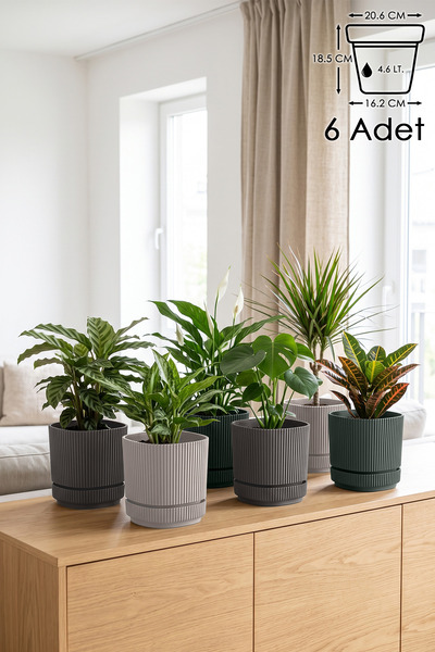 ToXA 6 Adet Pera Kare Saksı No4 4,6 Litre Çok Renkli 20,6cm Plastik Kendinden...