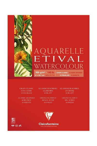 Clairefontaine Etival Classic A4 300 Gr Top Adhesive 15 Sheets - Single