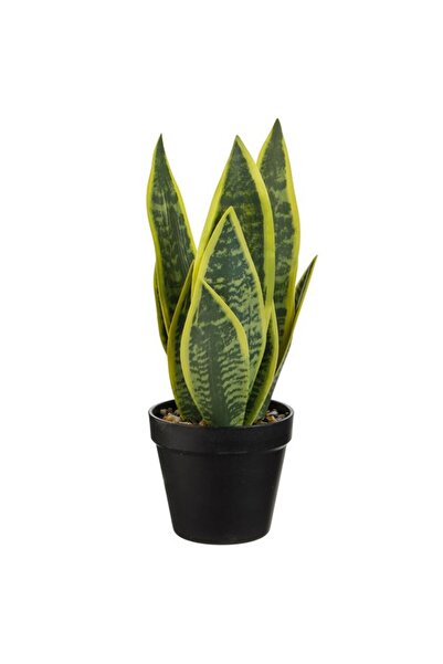 BAMI NETWORK Ghiveci decorativ planta artificiala sansevieria negru 37cm