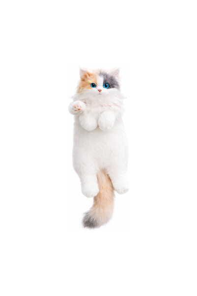 Dream Vest BÜYÜK KEDİ SIRT ÇANTASI SARI