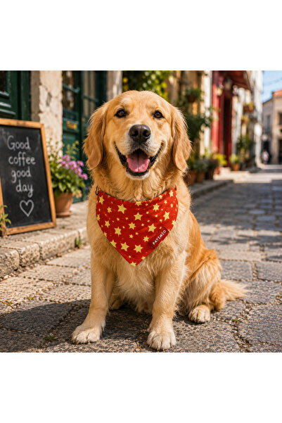 PATİMİO Red Gold Stars Cat And Dog Collar Scarf Bandana