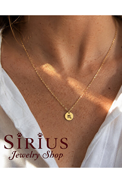 sirius jewelry 316L Çelik Akrep Burcu Kolye