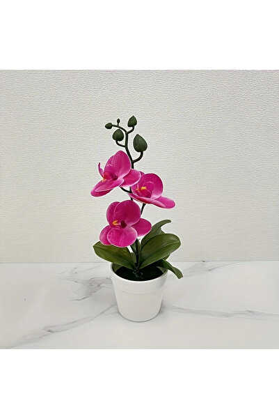 Choice rose red Artificial Orchid, Home/Office Decoration - Display of Living...